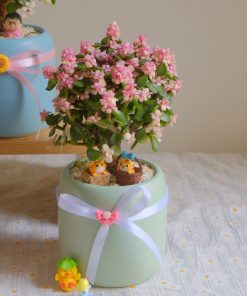 Sen đá đô La Hồng Cổ Thụ Chậu Nơ Trang Trí