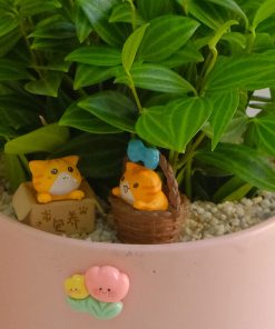 Chậu Cây Bình An để Bàn Phong Thủy